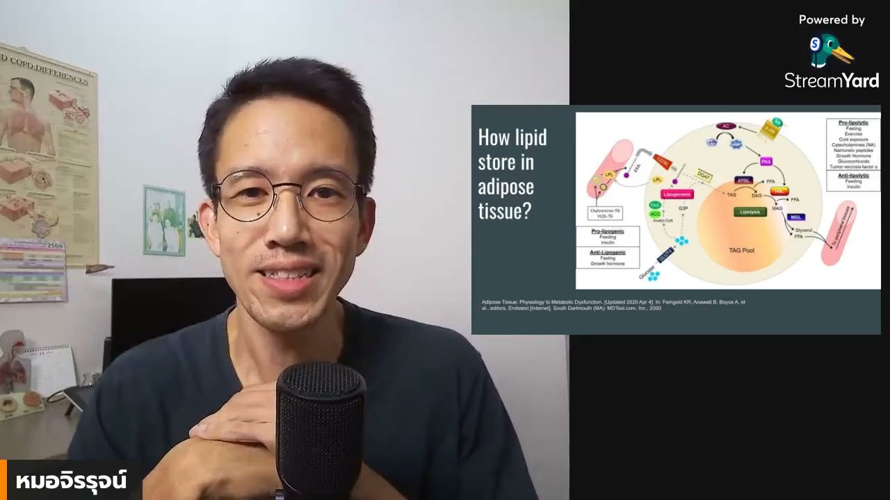 เนื้อเยื่อไขมันในร่างกาย...Adipose tissue