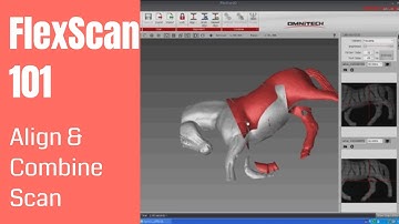How to Use FlexScan 3D Software | Align and Combine Scans