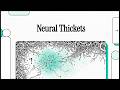 [Podcast] Neural Thickets
