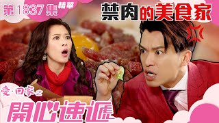 愛回家之開心速遞 |第1837集精華|禁肉的美食家|許家傑|林淑敏|TVB港劇精華