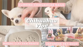 CHIHUAHUA VLOG / How To Clip Dog’s Nails / Paw Print In Clay /Dog Activation Toys/ Japanese Pet Shop