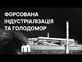 Форсована індустріалізація та Голодомор 1932-1933 років | ЗНО ІСТОРІЯ УКРАЇНИ