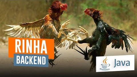 RINHA DE BACKEND - Mostrando minha implementação com Java puro