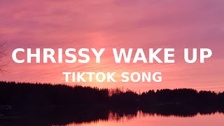 Video thumbnail of "Chrissy Wake Up (TikTok song) (Lyrics) chrissy wake up I don't like this (Stranger Things)"