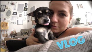 VLOG: VLOG: