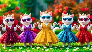 Dudi Dudi Dam Dam 💃💃💃 Cutest Cat Dancing On Dudi Dudi Dam Dam😺 Resimi