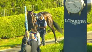 Gran Premio Latinoamericano 2023 - Hipódromo de San Isidro