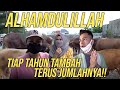 QURBAN ALA RANS DI IDUL ADHA, SEWA LAPANGAN DAN TIM SENDIRI