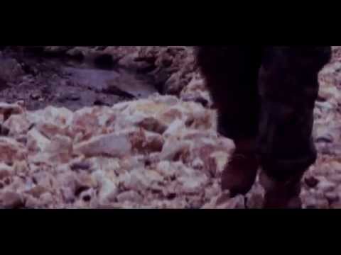 IRAKLI SAQARTVELO-TRAILER თრილერი