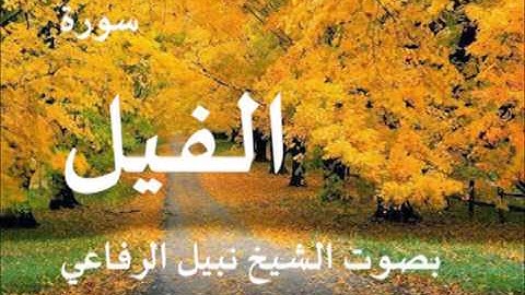 سورة الفيل بصوت نبيل الرفاعي
