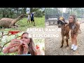 TEXAS TRAVEL VLOG! Hanging Out With Exotic Animals, Exploring Austin & The Best Tacos Ever