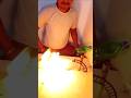 😱बोतल में🔥आग लगने से😥हुई एक लोग की #new#experiment #video#and#trending#facts #experiment#shorts