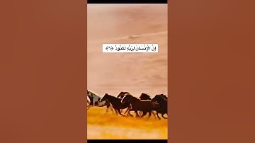 سورة العاديات | #قرآن #القرآن_الكريم #quran #اكسبلور #تلاوات #ترند