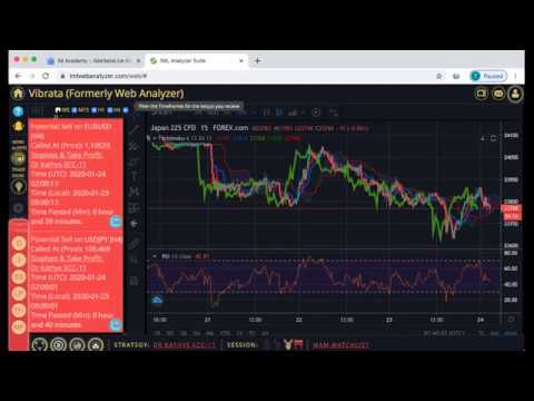 Mentor dr kathy kirkland forex