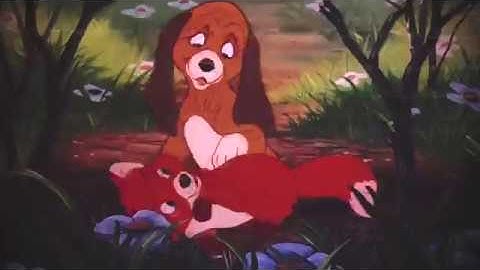 [ READ DESC. ] t r a i n i n g  w h e e l s . | mep parts! |