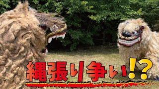 【獅子舞】縄張り争い！？