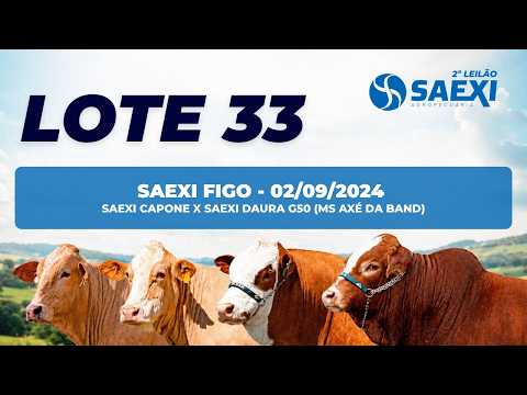 LOTE 33 - SAEXI FIGO