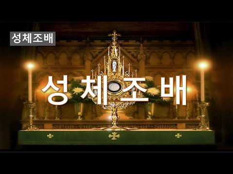 영상썸네일