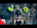 Bats (The Awakening) | Latest Full Horror Movie | 2021