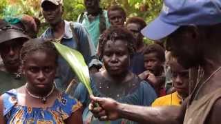 A Traditional Feast in Topinang, Bougainville