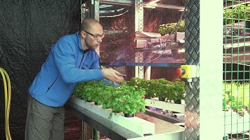 Multi Green Grow-a moving gutter system from Viemose-Driboga for vertical farming