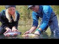 We Caught SO MANY TROUT on This Lure!! | Field Trips with Robert Field