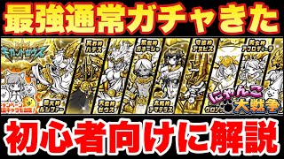 にゃんこ様 Amazon.co.jp: にゃんこ大商店オリジナル ぬいぐるみS ネコ