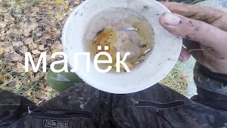 Ловля малька пауком  ( пауком - подъёмником -малявочницей)