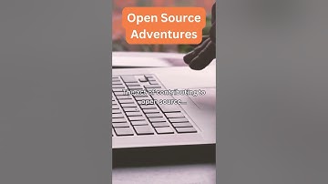 Open Source Odyssey: Navigating the Wilds of Collaborative Coding