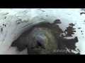 Volcano Villarica Drone Video - JohnnyCopter.com