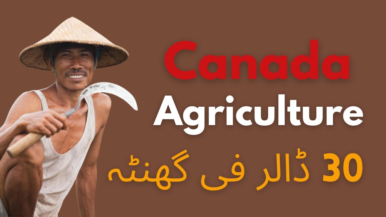 Agriculture Jobs in Canada Farm worker YouTube