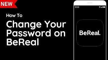 How To Change Your Password on the BeReal App (2023)