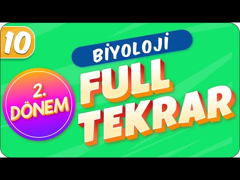 10.Sınıf Biyoloji | 2.Dönem Full Tekrar 🔁