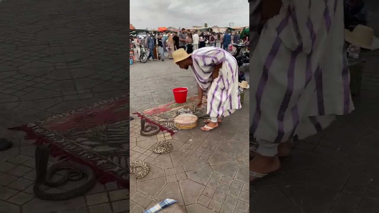 Snake in Djemaa el Fna Square, Marrakech 