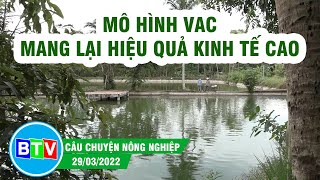 Hiệu quả kinh tế cao từ mô hình VAC  Kinh nghiệm làm ăn  Báo ảnh Dân tộc  và Miền núi