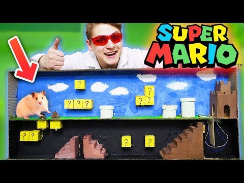 Видео: СДЕЛАЛ ИГРУ SUPER MARIO ДЛЯ ХОМЯЧКА