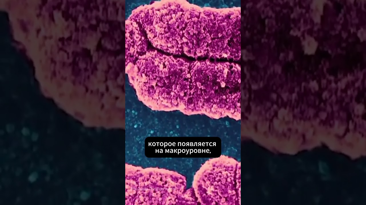 Что такое эмерджентность? 