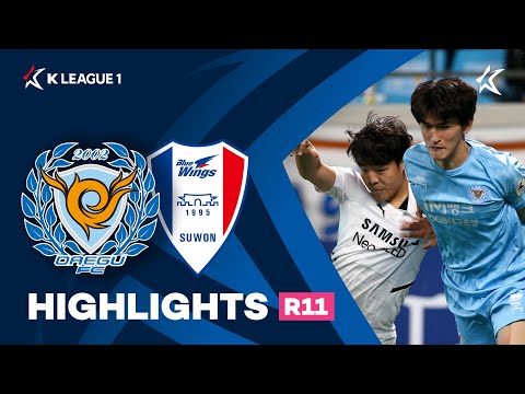 Daegu Suwon Bluewings Goals And Highlights