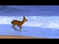 Making off  une biche samuse sur une plage des landes