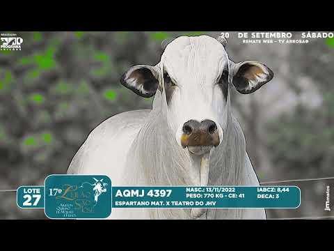 LOTE 27   AQMJ 4397