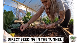 Direct seeding in the tunnel/ VLOG