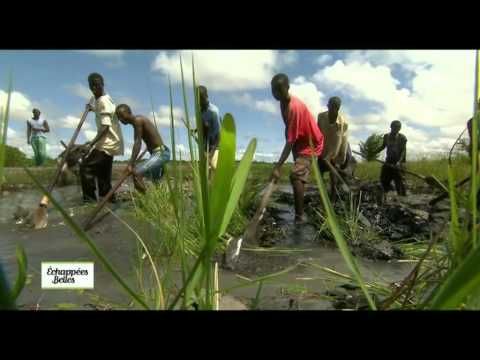 Casamance - Echappées belles