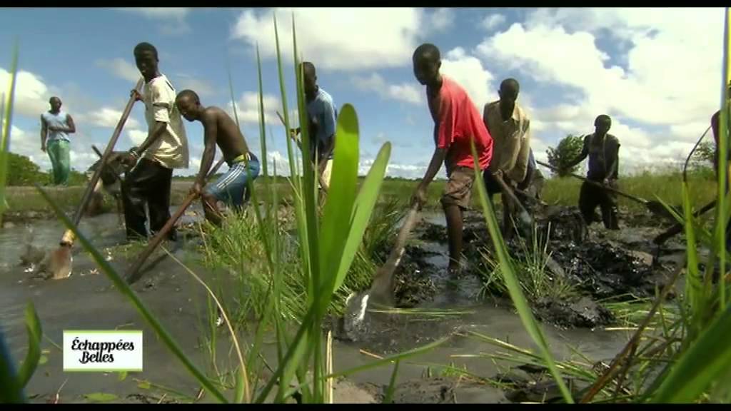 Echappees Belles Senegal Au Rythme Du Fleuve Casamance - Echappées belles - YouTube