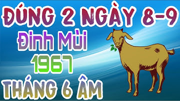 Đổi Vận Thăng Hoa: Đinh Mùi 1967 Đúng 2 Ngày 8-9/6 Âm, Giàu Sang Về Tận Cửa Tài Lộc Phơi Phới