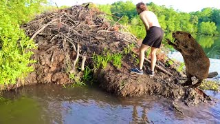 Beaver Nuggets by CCS Outdoors 2,362 views 1 year ago 13 minutes, 59 seconds