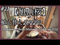 #21 【旭山桜】植え替え2022年~桜は毎年の作業です~ [Asahiyama Sakura] Replanting 2022 ~ Sakura is an annual work ~#盆栽
