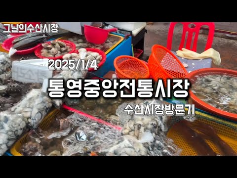 2025/1/4 통영 중앙전통시장 수산시장 방문기 구경 국내여행 어시장 회센터 굴 회 Korea market oyster seafood