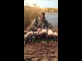 Jase Pro Series Tigerwood Duck Call Review
