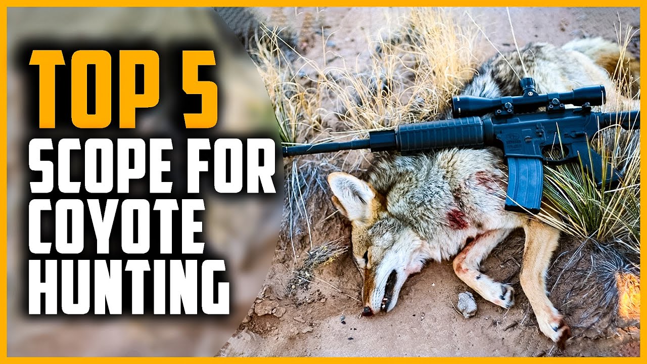 Best Scope for Coyote Hunting 2024 Top 5 Best Night Vision Scope for