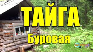 ТАЙГА | БУРОВАЯ УСТАНОВКА В ТАЙГЕ - ДОБЫЧА